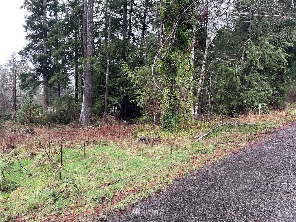 Shelton, WA 98584,30 lot# E Hammond PL