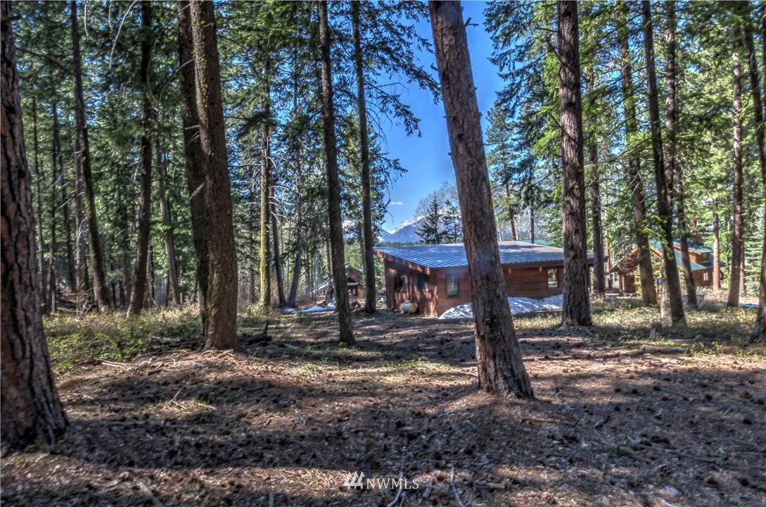 Winthrop, WA 98862,39 Timberline LN