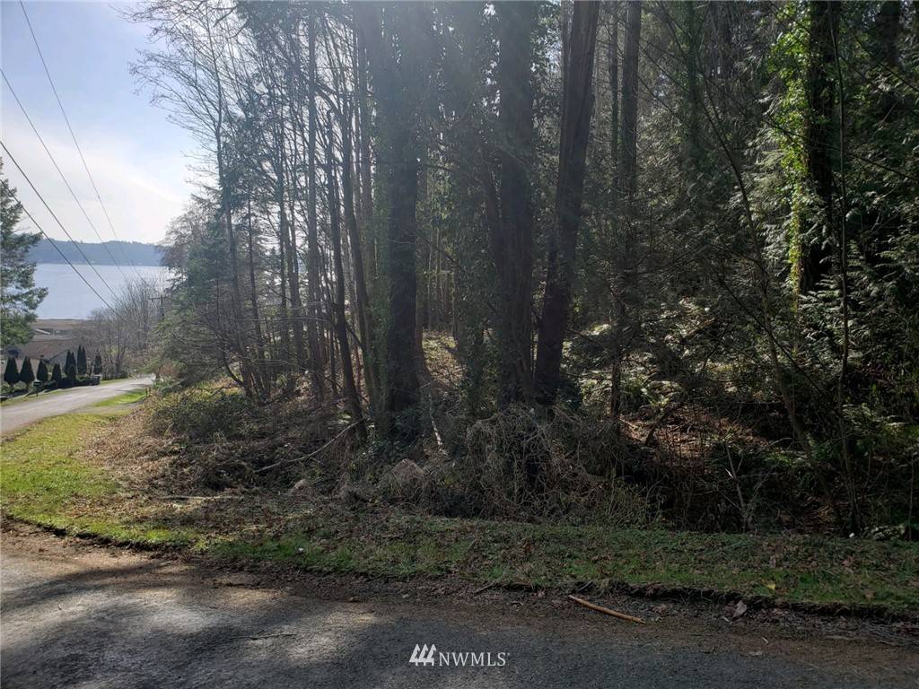 Belfair, WA 98528,0 Virginia AVE