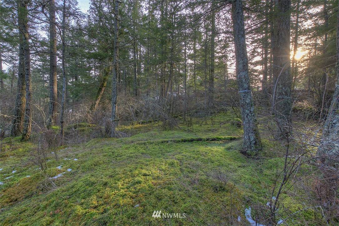 Orcas Island, WA 98245,1 Rosario RD