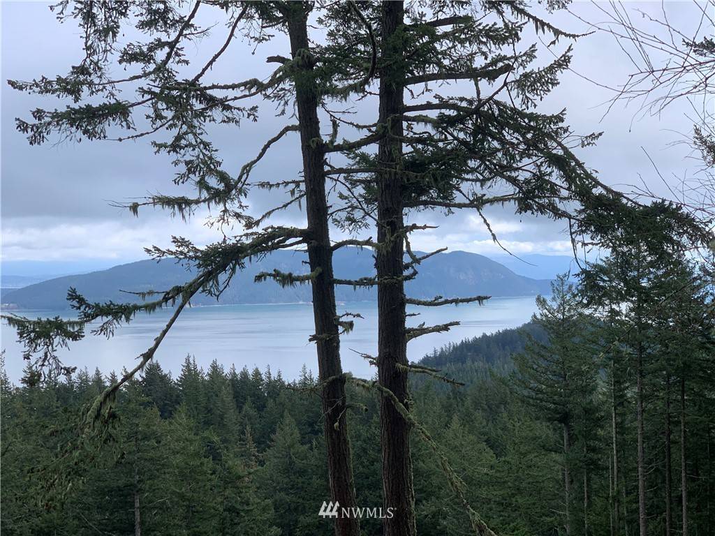 Orcas Island, WA 98279,150 Genoa LN