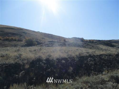 Orondo, WA 98843,0 NNA Mountain Spring RD