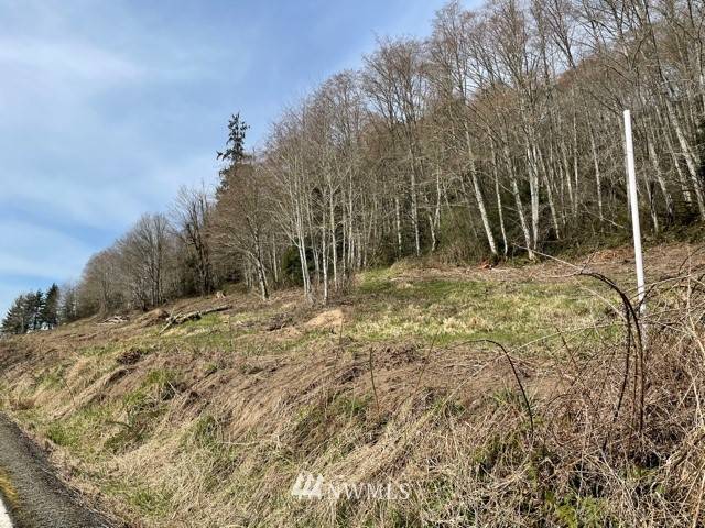 Cathlamet, WA 98612,3 Lot Risk RD