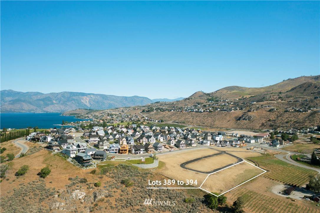 Chelan, WA 98816,1309 (LT 390) Dragonfly CT