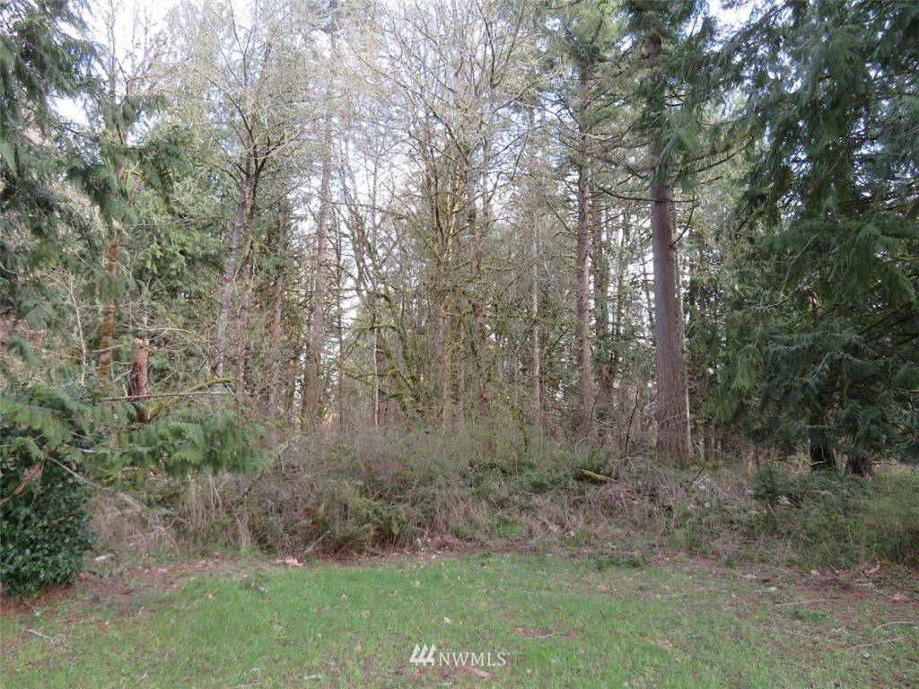 Toledo, WA 98591,0 Lot 6 Greenwater DR