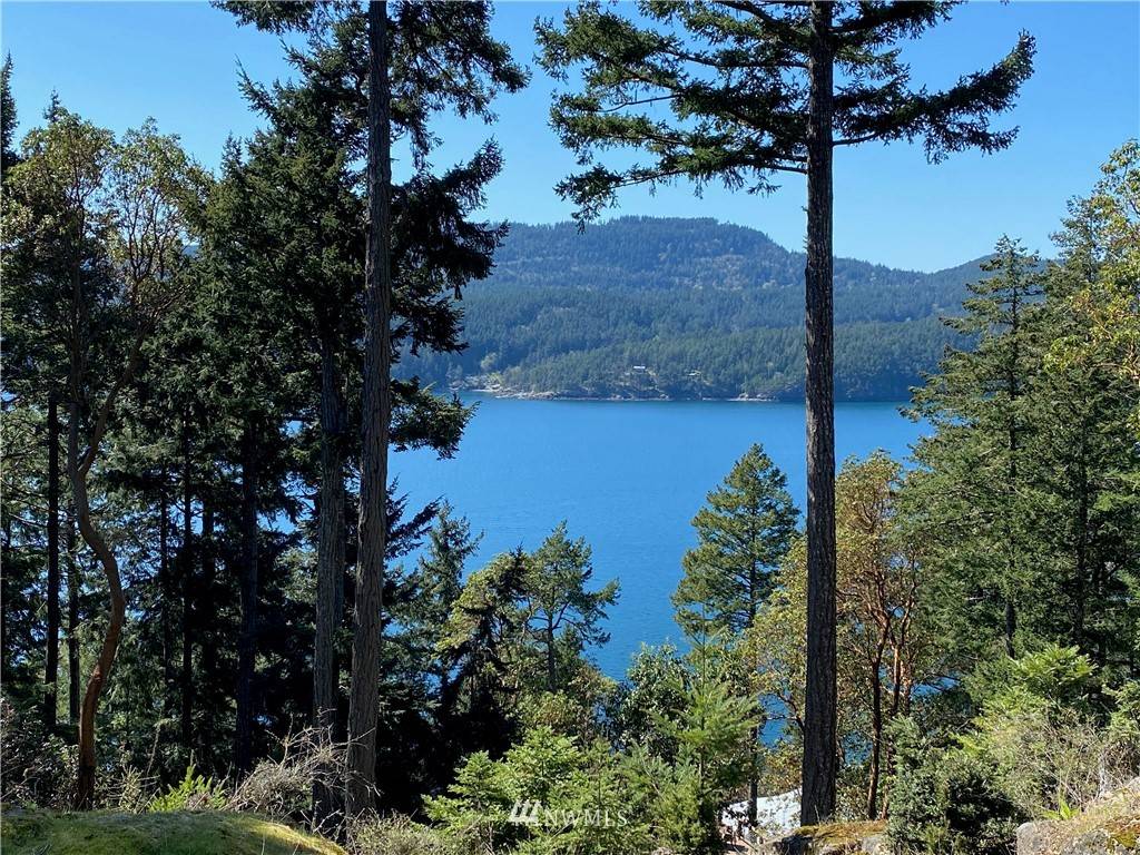 Orcas Island, WA 98245,0 Palisades DR