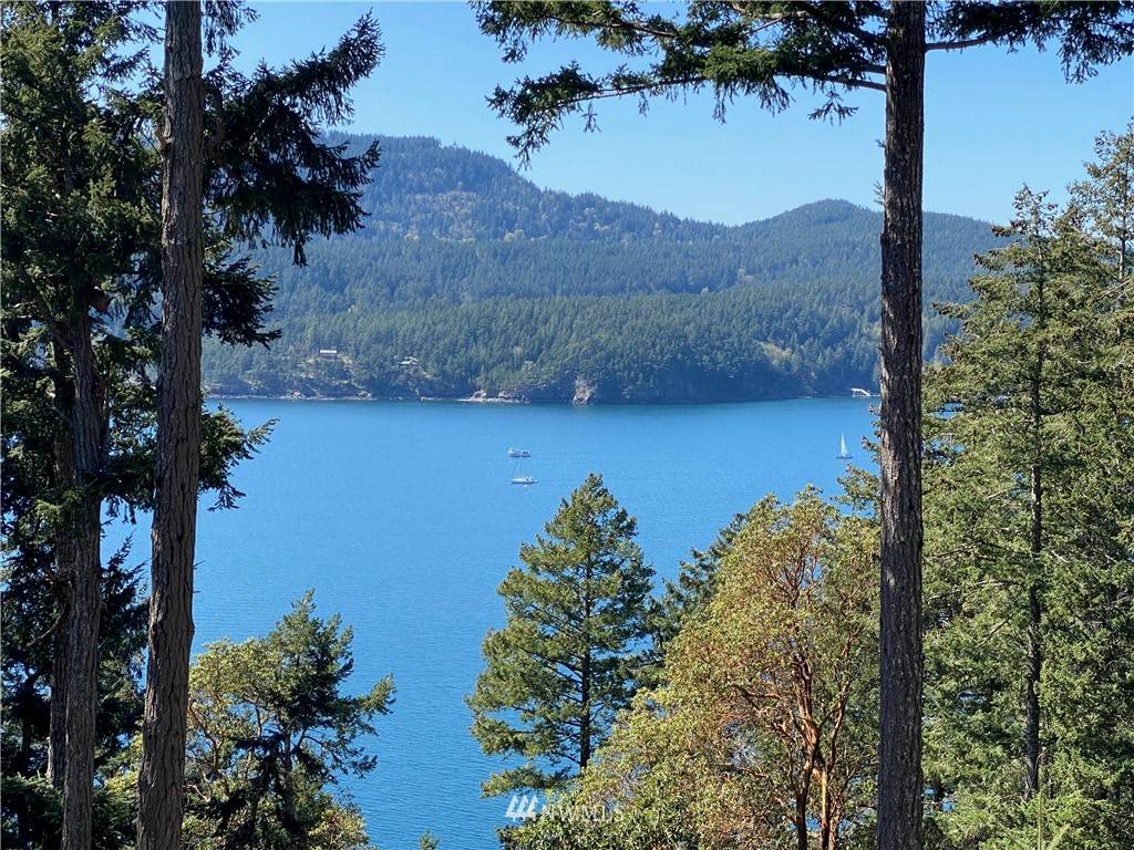 Orcas Island, WA 98245,0 Palisades DR