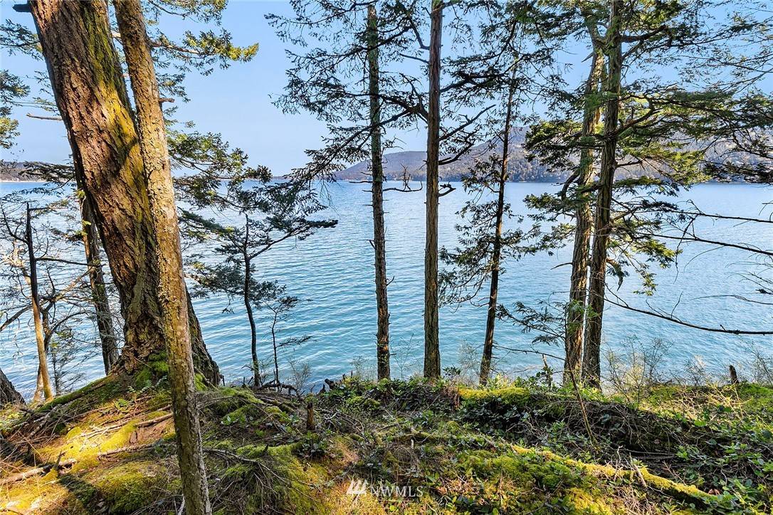 Orcas Island, WA 98245,0 XXXX Dolphin Bay RD