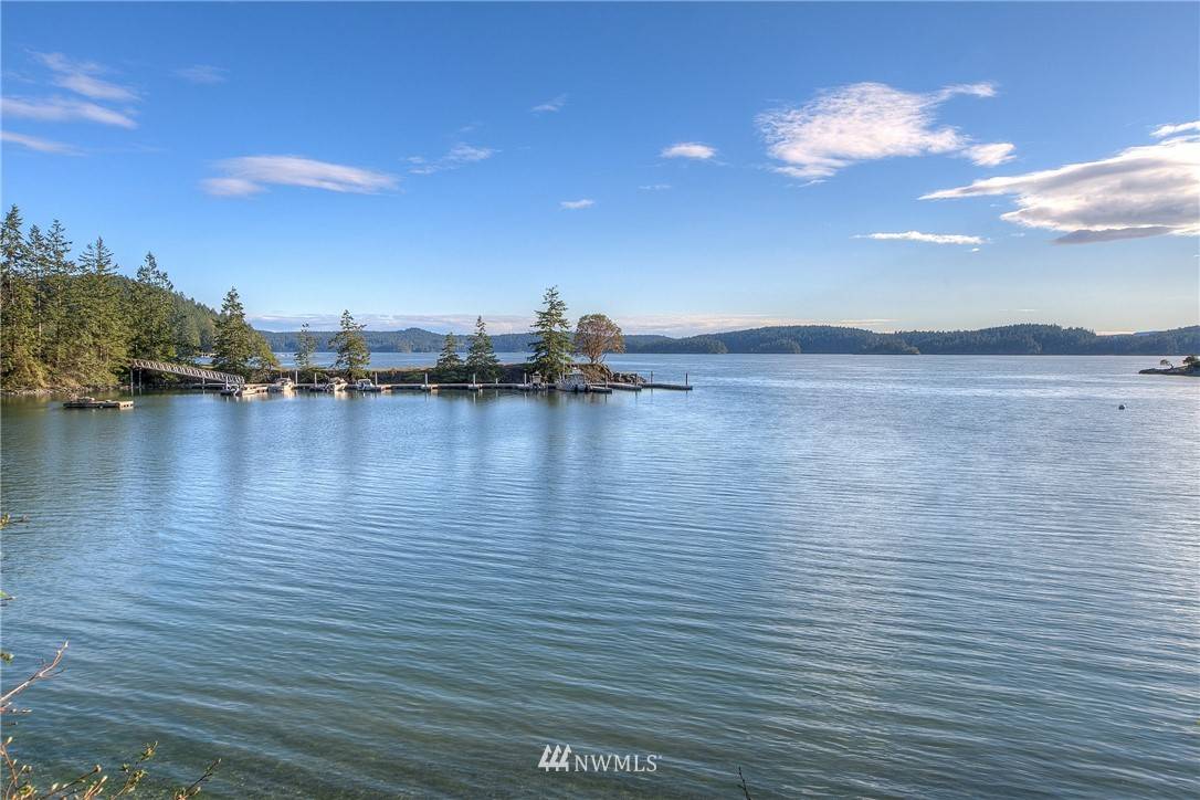 Orcas Island, WA 98245,28 Virginia's LN