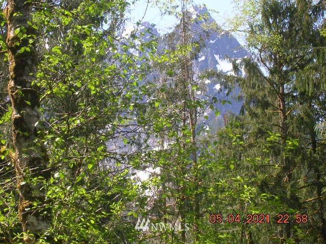 Index, WA 98256,0 MT Index River Rd