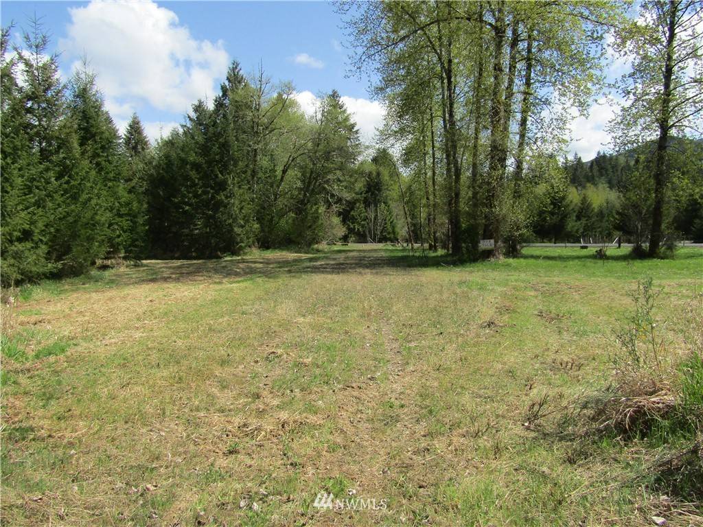 Morton, WA 98356,0 0 Mineral Creek RD