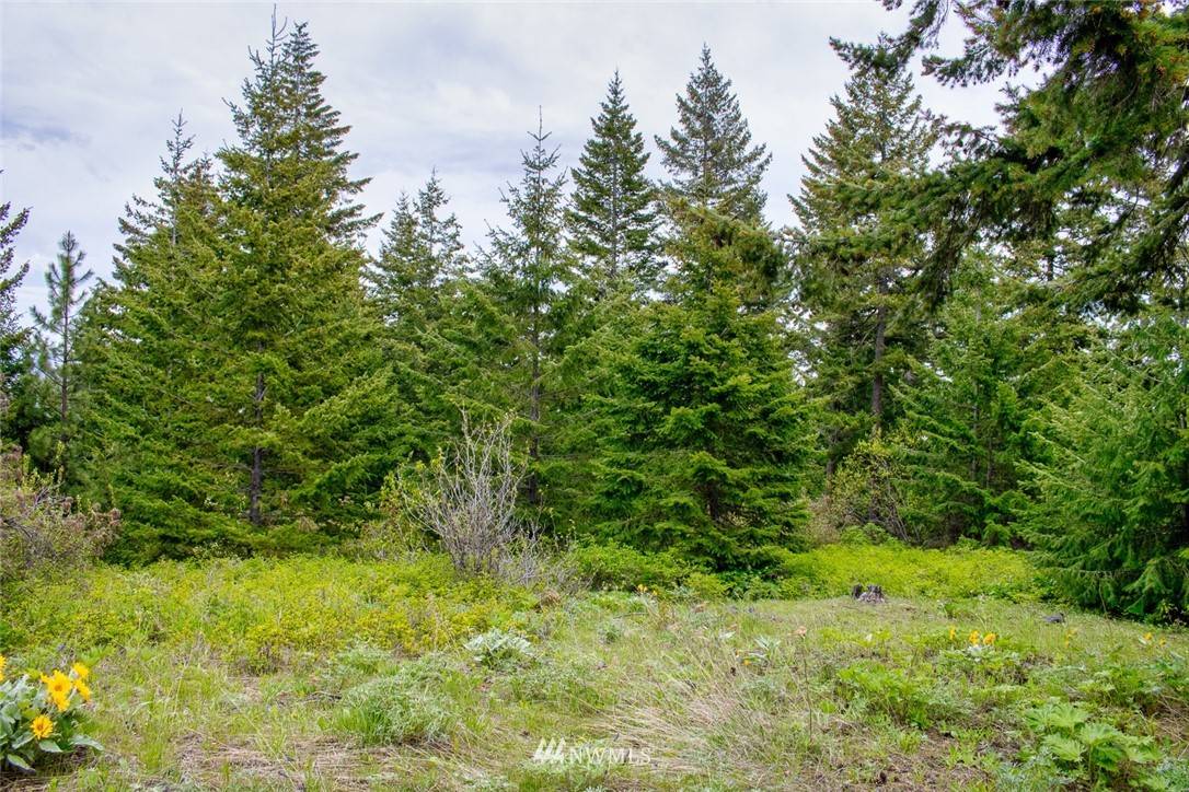 Cle Elum, WA 98922,0 Lot 1 Black Hawk RD