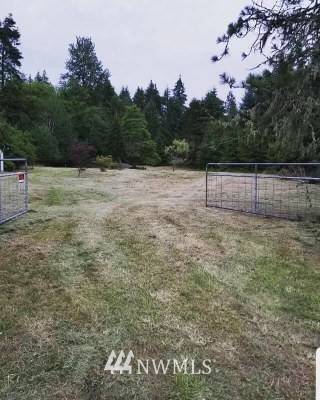 Elma, WA 98541,217 Satsop Riviera LOOP