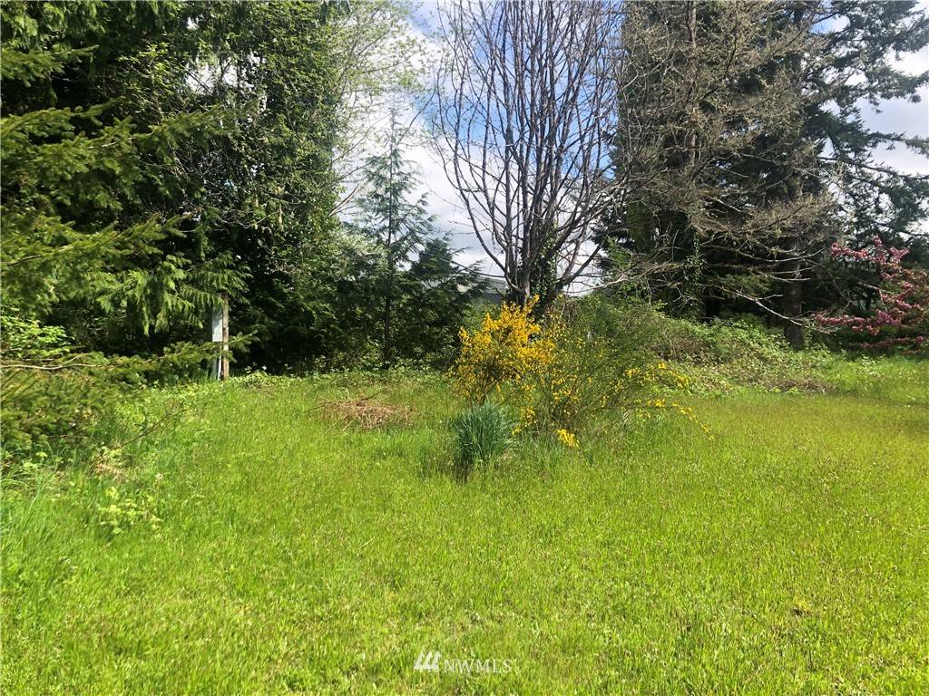 Elma, WA 98541,217 Satsop Riviera LOOP