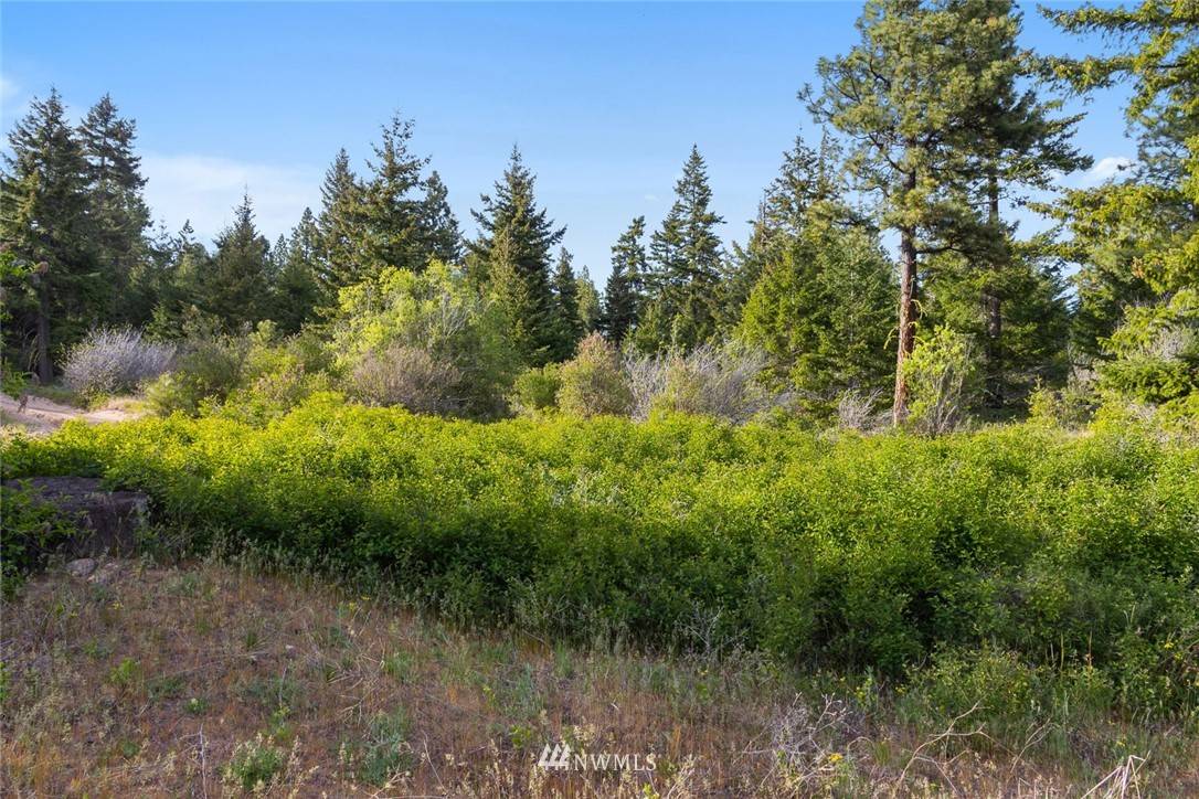 Cle Elum, WA 98922,3 Lot 3 Black Hawk DR