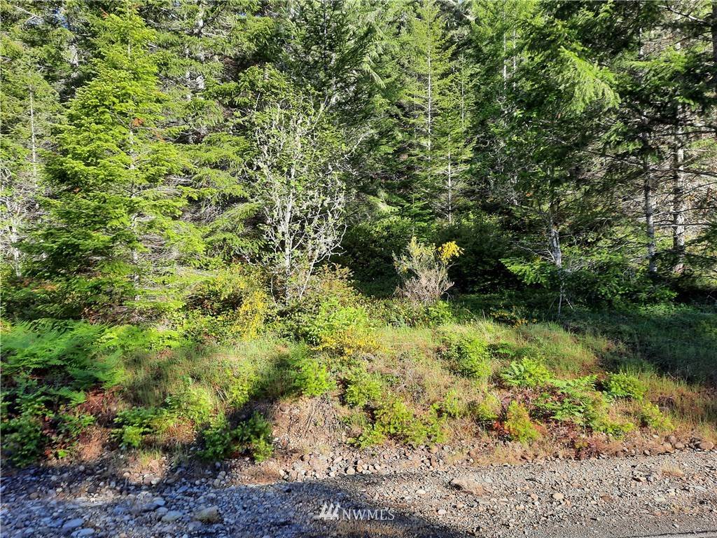 Tahuya, WA 98588,1 NE Belfair Tahuya RD