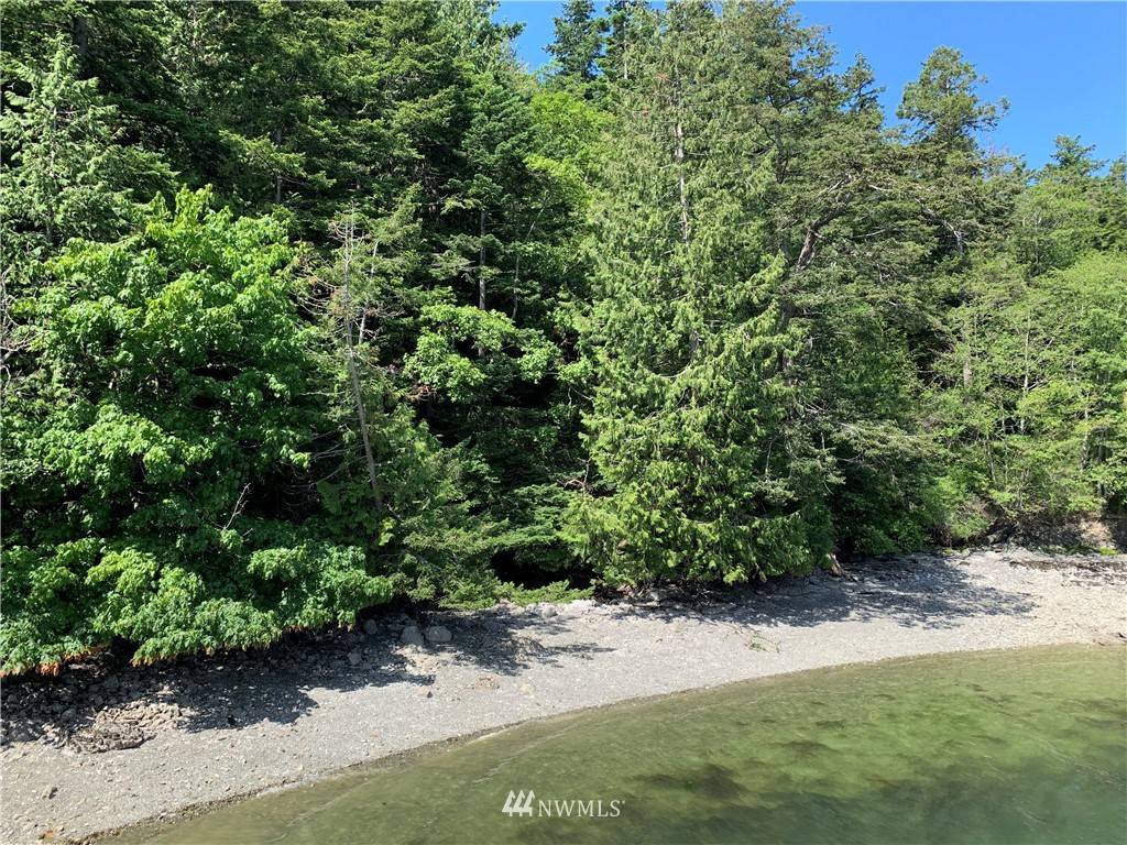 Orcas Island, WA 98245,229 Tyee DR