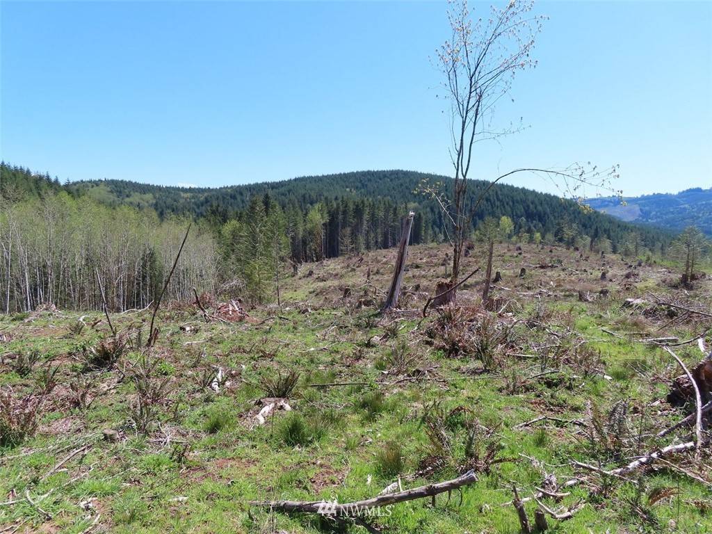 Kelso, WA 98626,0 Lot  13 Stewart Spur