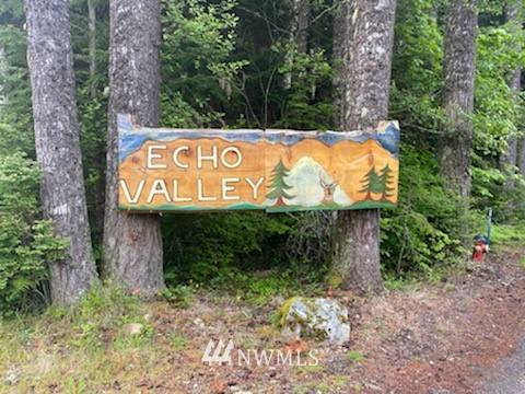 Ashford, WA 98304,31210 553rd ST E