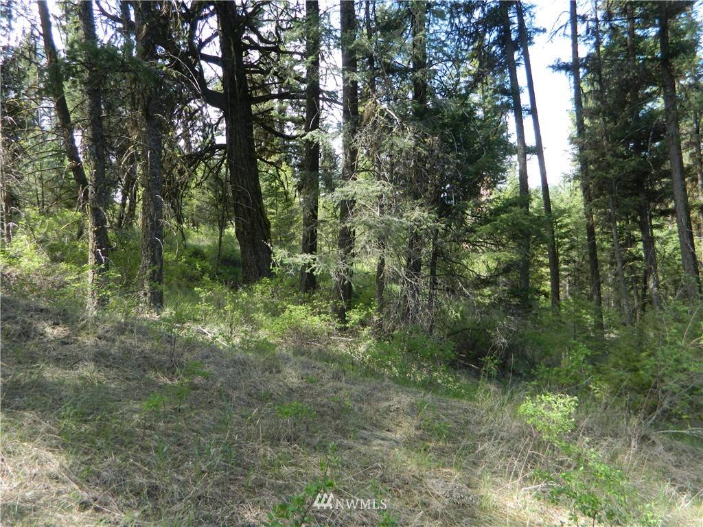 Tonasket, WA 98844,22 Pine Chee RD