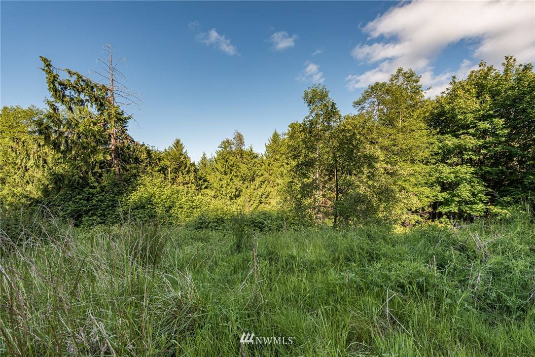 Sequim, WA 98382,9999 Elk Pass RD #Lot 8