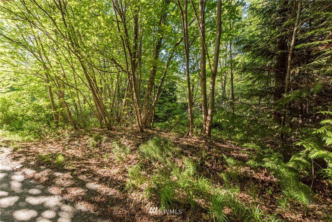 Sequim, WA 98382,9999 Elk Pass RD #Lot 8