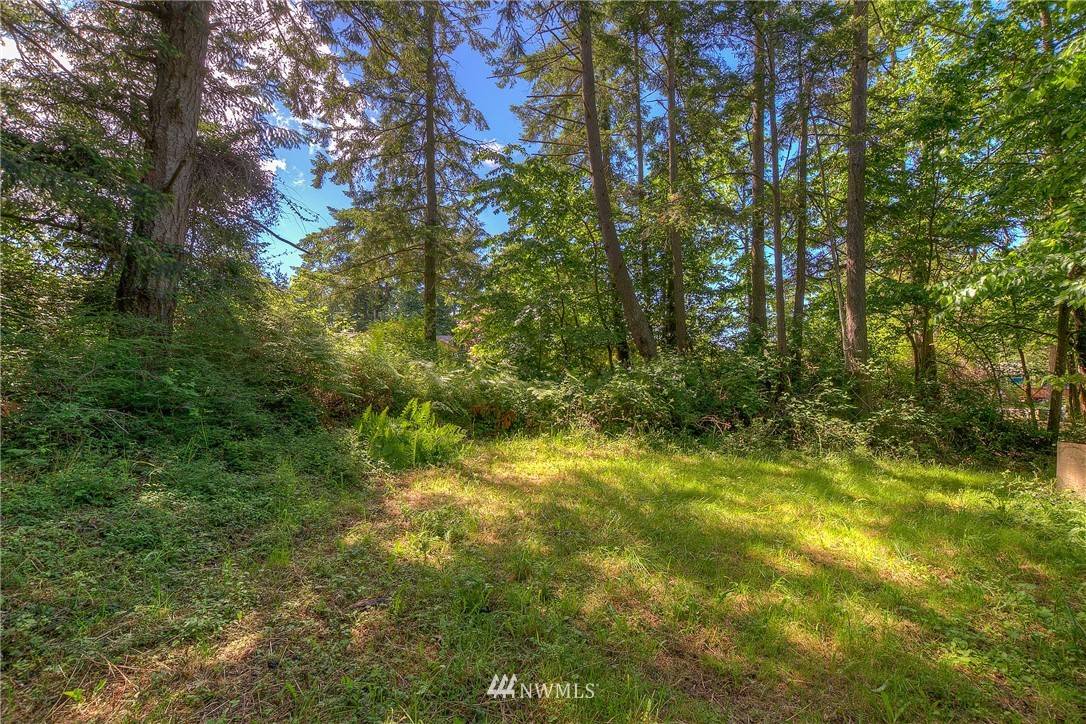 Orcas Island, WA 98245,0 Feather Lot 4 LN