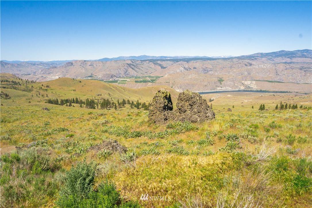 Orondo, WA 98843,0 LOT 19 Long Draw RD