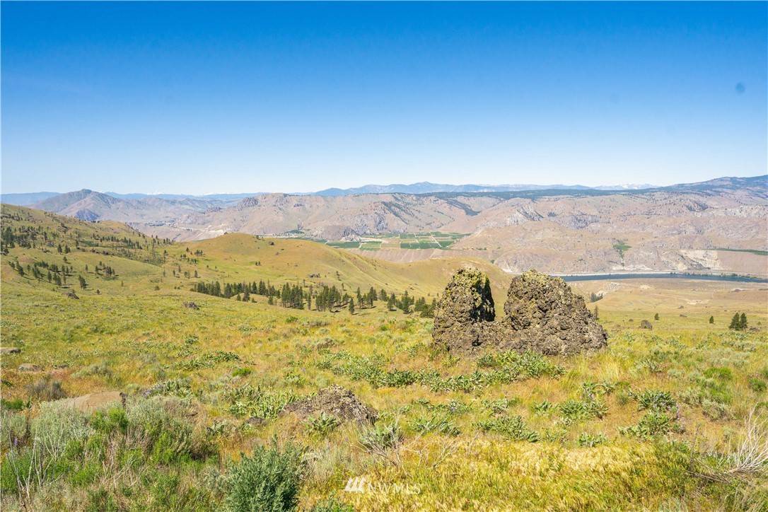 Orondo, WA 98843,0 LOT 19 Long Draw RD