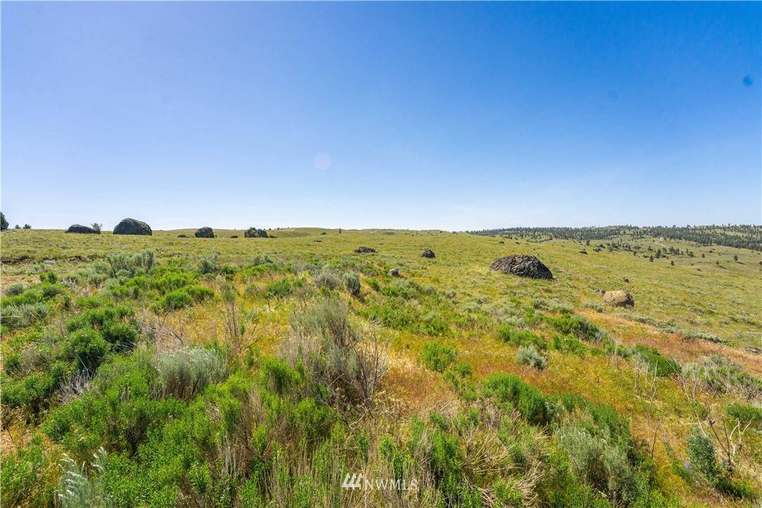 Orondo, WA 98843,0 LOT 19 Long Draw RD