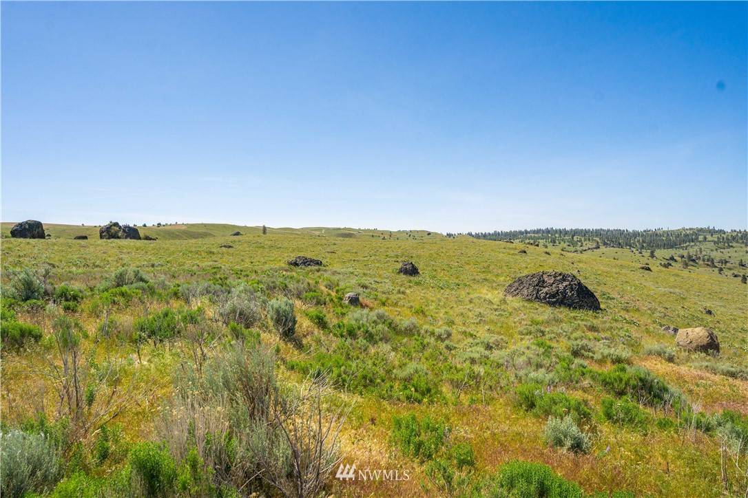 Orondo, WA 98843,0 LOT 19 Long Draw RD