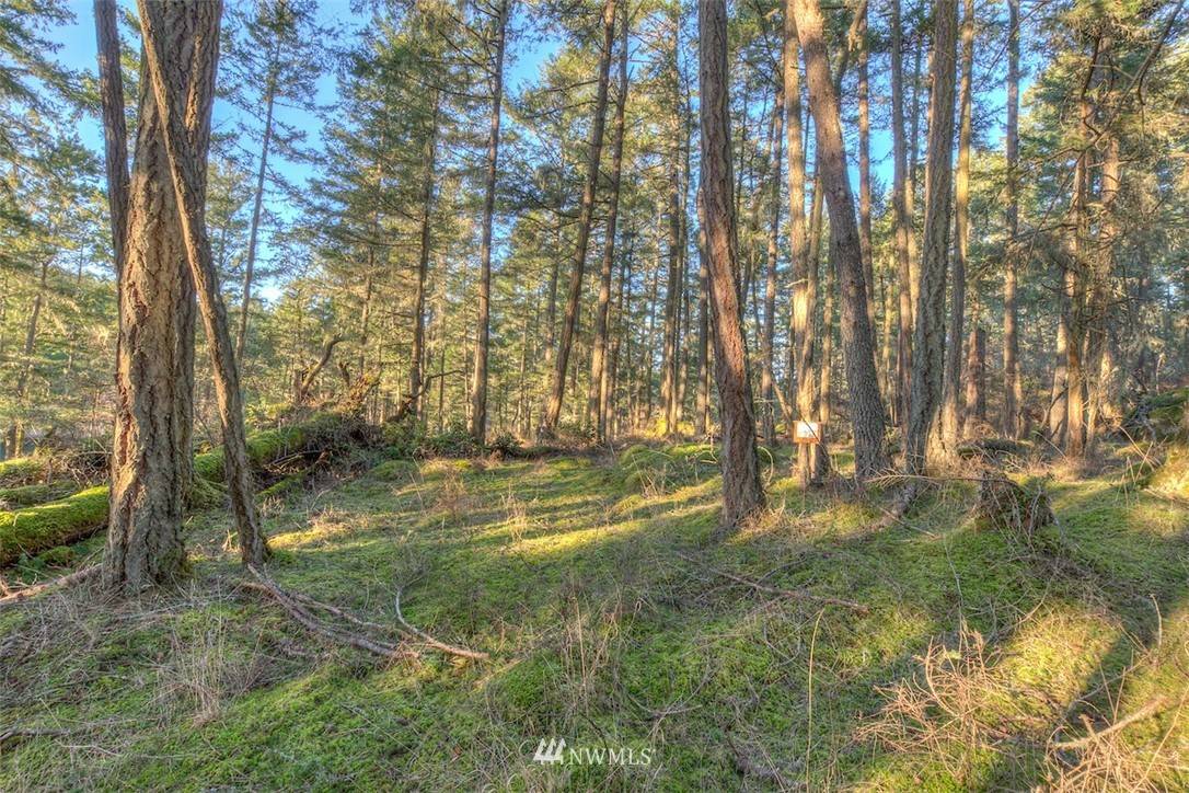 Orcas Island, WA 98243,4 Spring Point Lot 4B RD