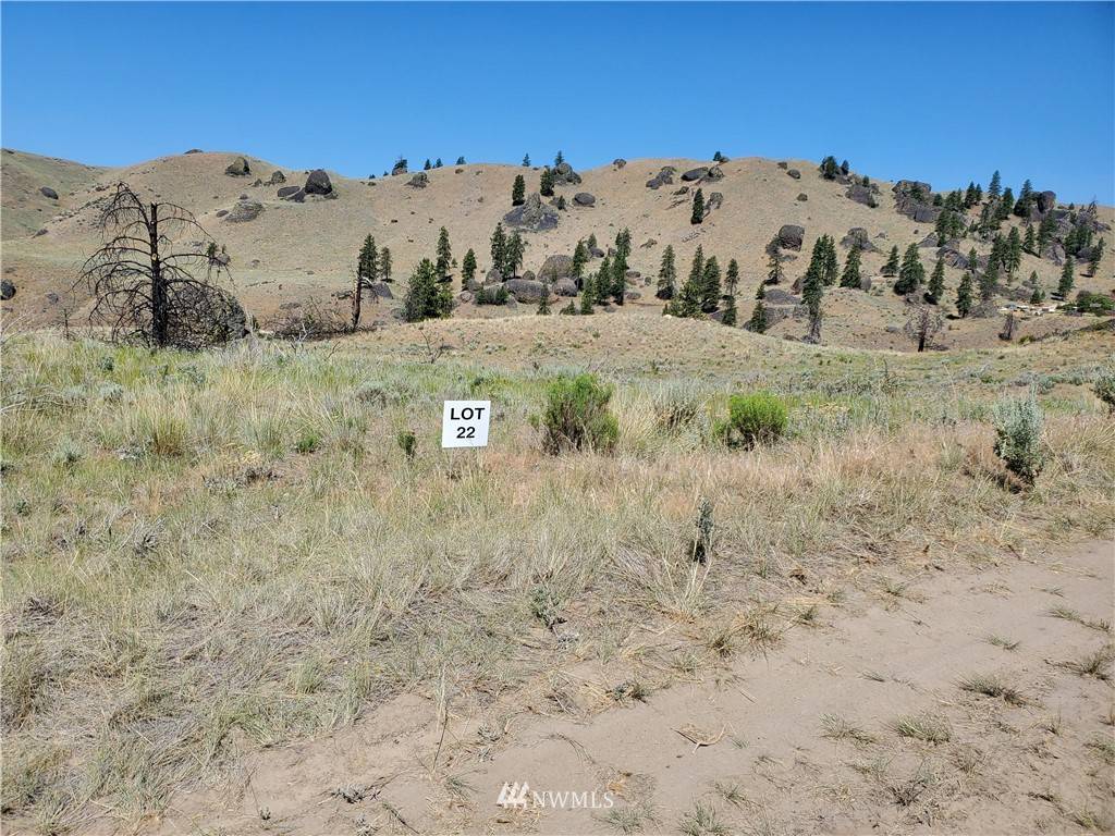 Orondo, WA 98843,0 NNA Spring Canyon RD