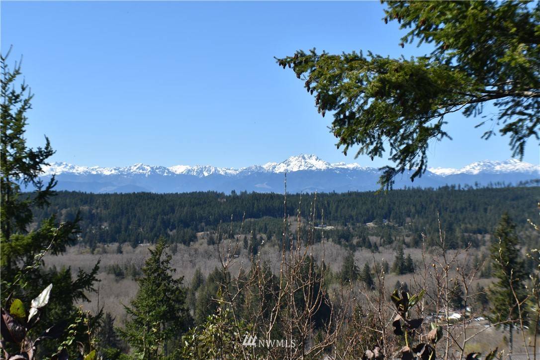 Belfair, WA 98528,1 lot 1 NE Daybreak DR