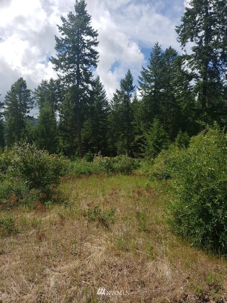 Addy, WA 99101,2420 A Cedonia-Addy Rd