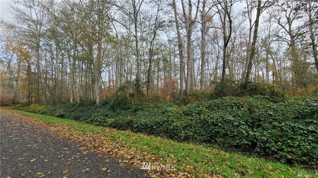 Bellingham, WA 98226,3 Lot Harbor PL