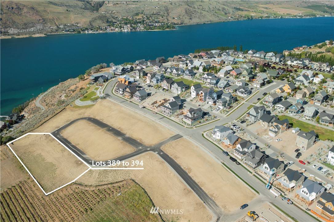 Chelan, WA 98816,1307 (LT 391) Dragonfly CT