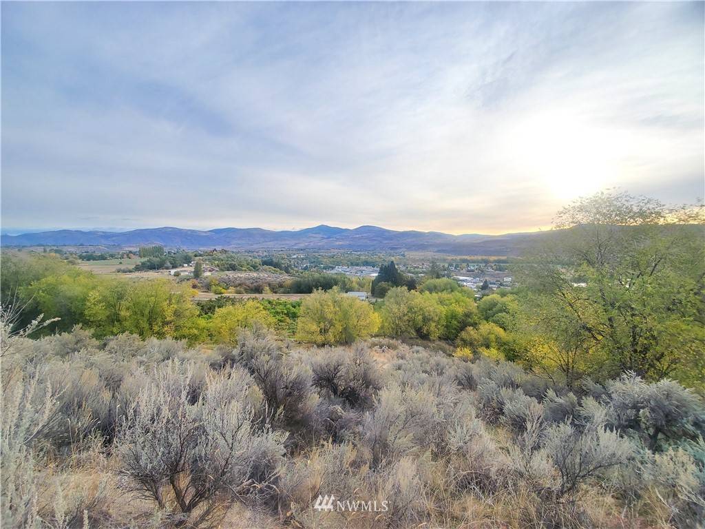 Omak, WA 98841,0 TBD Panorama Point