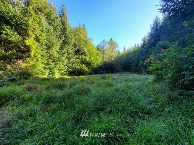 Forks, WA 98331,9993 Mina Smith RD #Lot 3