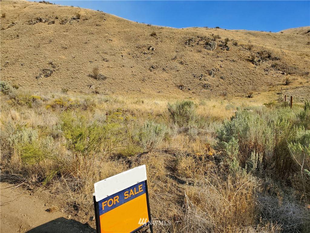 Orondo, WA 98843,10 Buyas DR