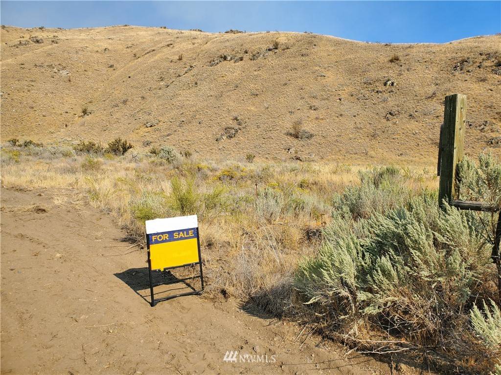 Orondo, WA 98843,10 Buyas DR