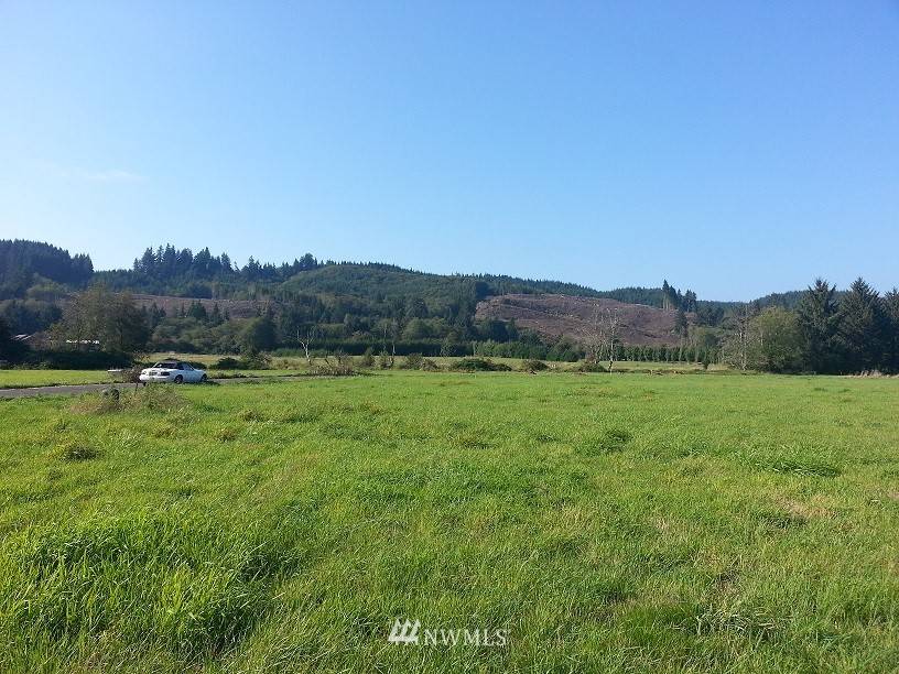 Cathlamet, WA 98612,0 Lot 4 Nature LOOP