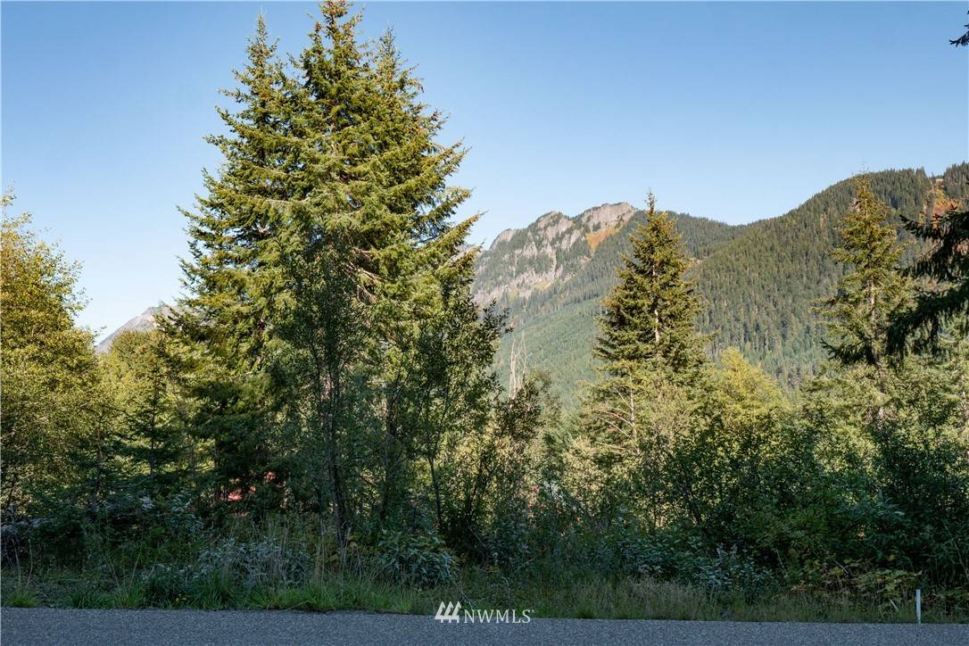 Snoqualmie Pass, WA 98068,2 XX Rampart DR