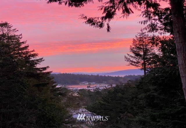 La Conner, WA 98257,613 Wanapum DR