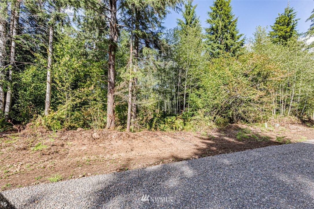 Forks, WA 98331,99945 Thomas ST