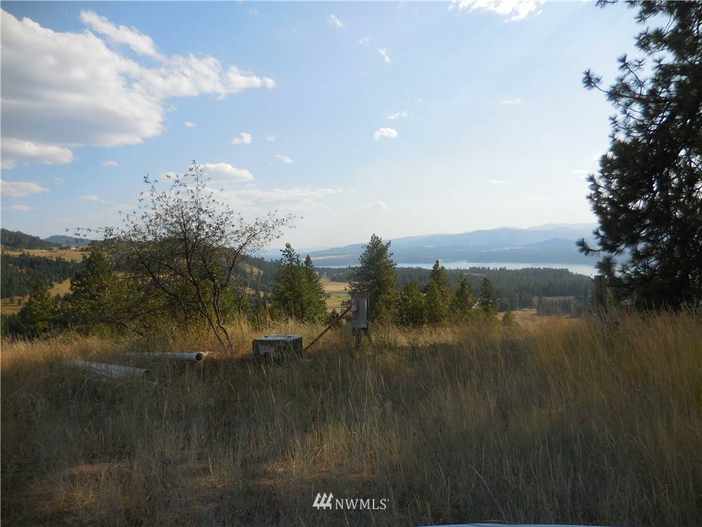 Rice, WA 99167,3341 Daisymine RD