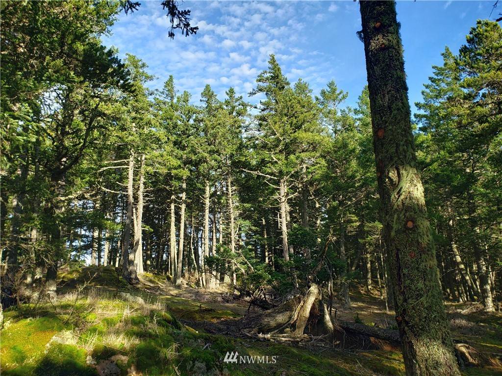 Orcas Island, WA 98245,0 47 Buck Mountain RD