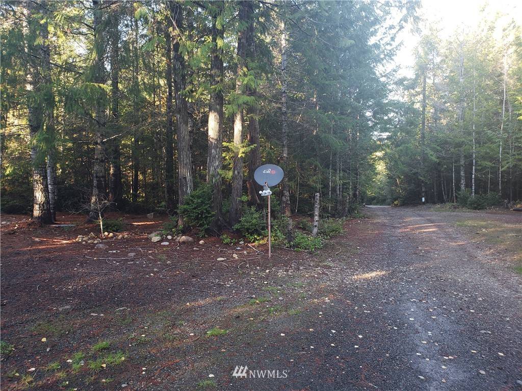 Belfair, WA 98588,262 NE Kissin Tree LN