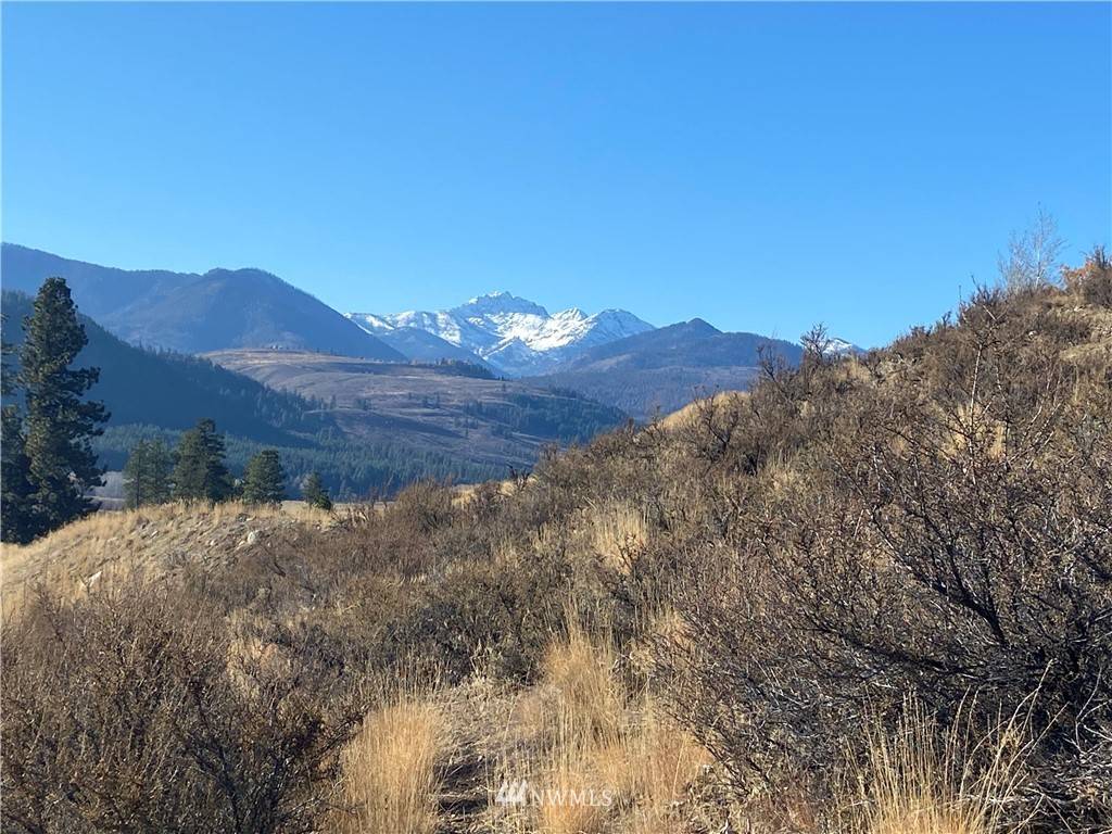 Winthrop, WA 98862,0 N Palomino