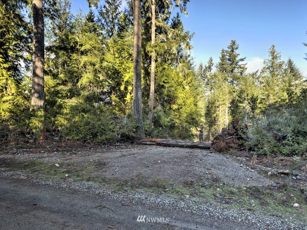 Tahuya, WA 98588,26201 NE North Shore RD